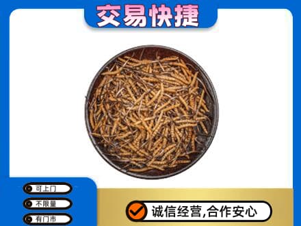 宿州市灵璧高价回收散虫草